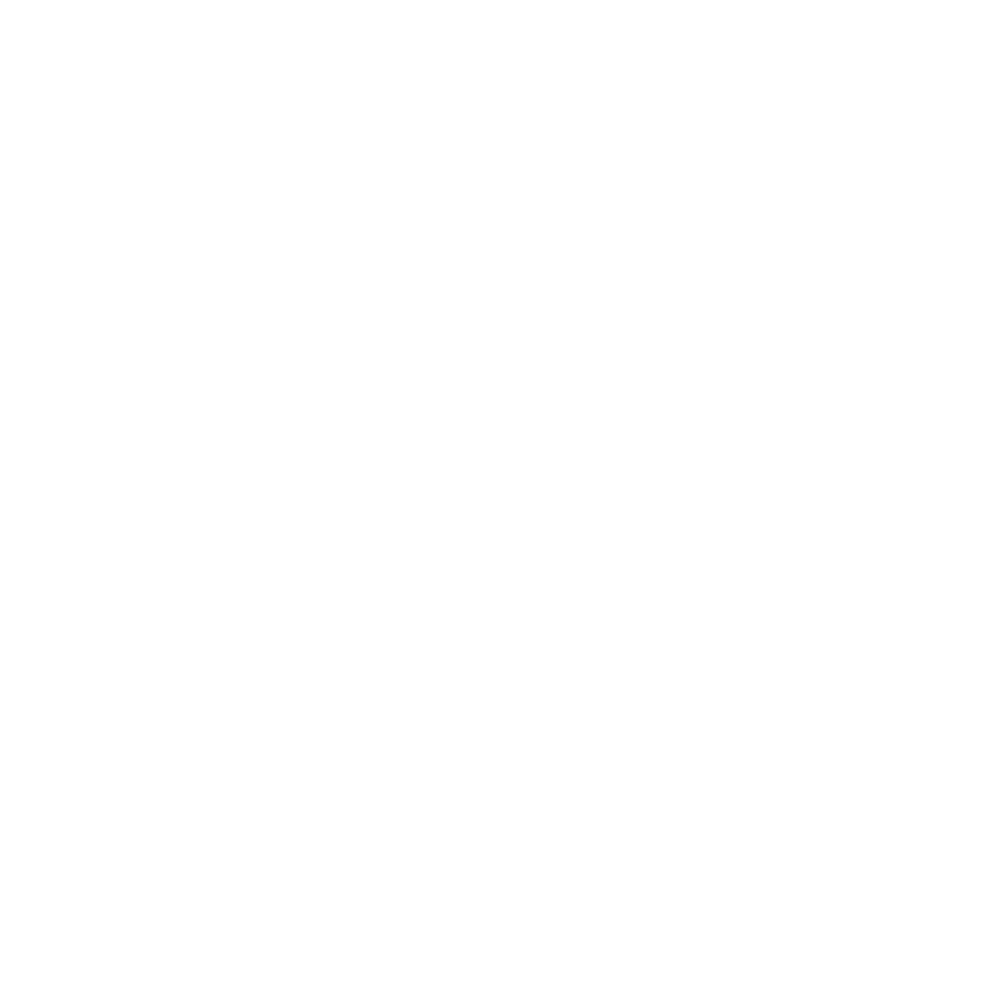 DADAMOOG
